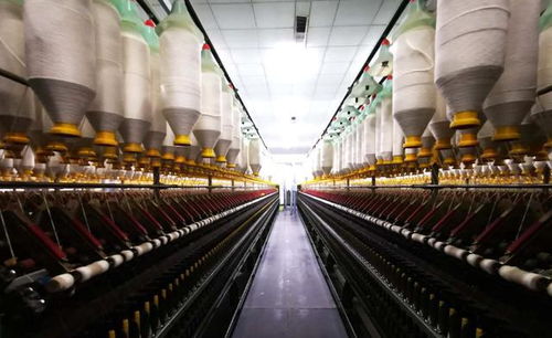 外貿(mào)訂單流失的連鎖反應(yīng) 從港口空箱到產(chǎn)業(yè)升級的陣痛與機(jī)遇