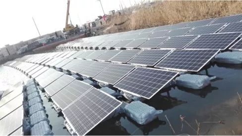 遠東電纜 以技術創新引領水上光伏行業新浪潮